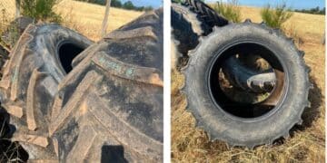 Mitas 600/65/R38